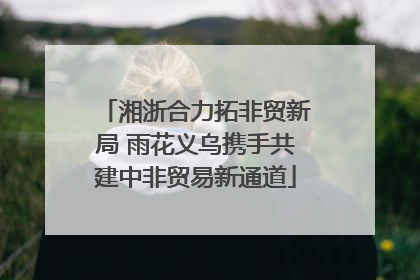 湘浙合力拓非贸新局 雨花义乌携手共建中非贸易新通道