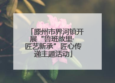 滕州市界河镇开展“鲁班故里· 匠艺新承”匠心传递主题活动