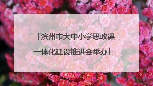 滨州市大中小学思政课一体化建设推进会举办