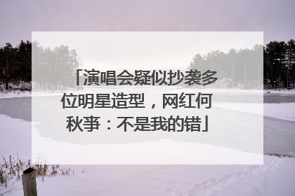 演唱会疑似抄袭多位明星造型，网红何秋亊：不是我的错