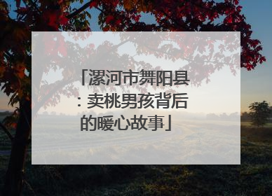 漯河市舞阳县：卖桃男孩背后的暖心故事
