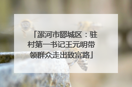 漯河市郾城区：驻村第一书记王元明带领群众走出致富路