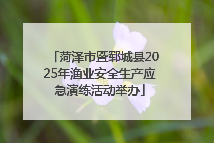 菏泽市暨郓城县2025年渔业安全生产应急演练活动举办