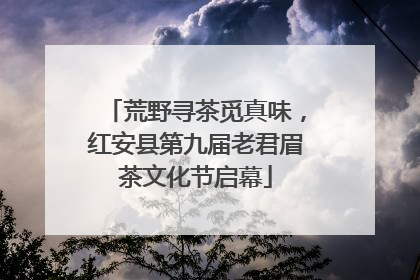 荒野寻茶觅真味，红安县第九届老君眉茶文化节启幕