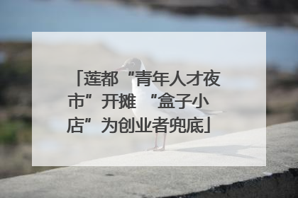 莲都“青年人才夜市”开摊 “盒子小店”为创业者兜底