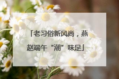 老习俗新风尚，燕赵端午“潮”味足