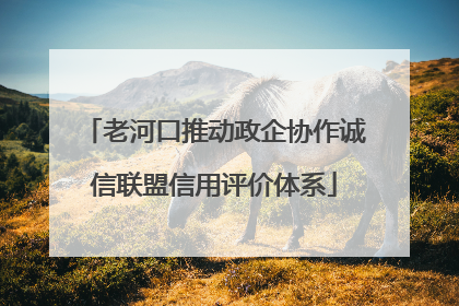 老河口推动政企协作诚信联盟信用评价体系