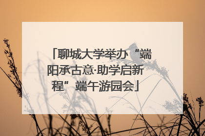 聊城大学举办“端阳承古意·助学启新程”端午游园会