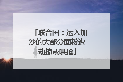 联合国：运入加沙的大部分面粉遭劫掠或哄抢
