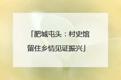 肥城屯头：村史馆留住乡情见证振兴