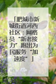 肥城市新城街道河西社区：网格员“新老接力”跑出为民服务“加速度”