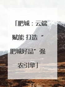 肥城：云端赋能 打造“肥城好品”强农引擎