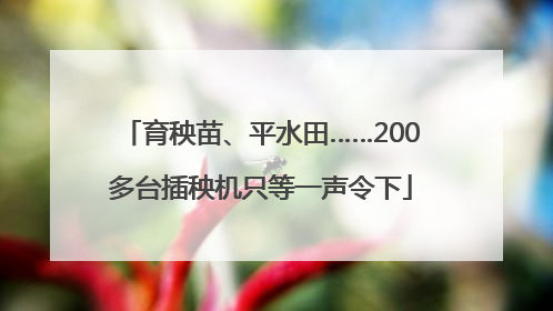 育秧苗、平水田……200多台插秧机只等一声令下
