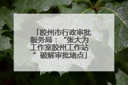 胶州市行政审批服务局：“张大为工作室胶州工作站”破解审批堵点