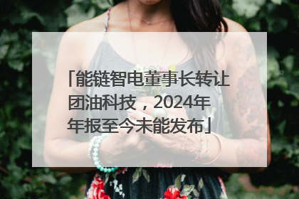 能链智电董事长转让团油科技，2024年年报至今未能发布