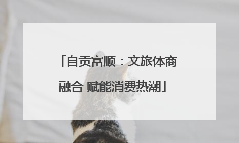 自贡富顺：文旅体商融合 赋能消费热潮