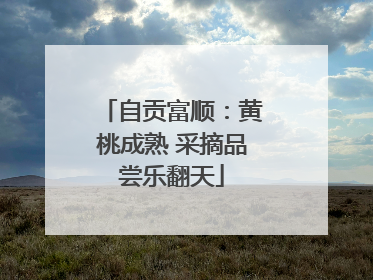 自贡富顺：黄桃成熟 采摘品尝乐翻天