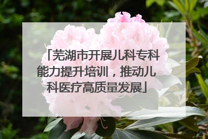芜湖市开展儿科专科能力提升培训，推动儿科医疗高质量发展