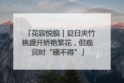 花容悦貌｜夏日夹竹桃盛开娇艳繁花，但观赏时“碰不得”