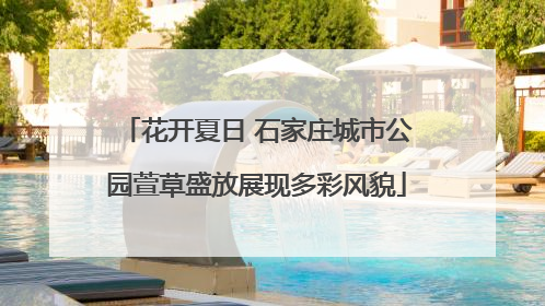 花开夏日 石家庄城市公园萱草盛放展现多彩风貌
