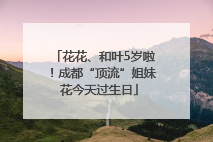 花花、和叶5岁啦！成都“顶流”姐妹花今天过生日