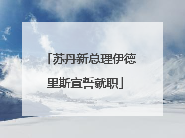苏丹新总理伊德里斯宣誓就职