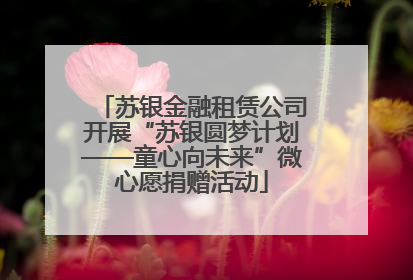 苏银金融租赁公司开展“苏银圆梦计划——童心向未来”微心愿捐赠活动