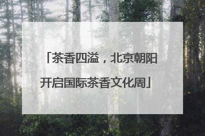 茶香四溢，北京朝阳开启国际茶香文化周