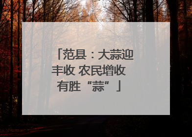 范县：大蒜迎丰收 农民增收有胜“蒜”