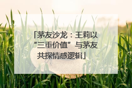 茅友沙龙：王莉以“三重价值”与茅友共探情感逻辑
