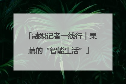 融媒记者一线行｜果蔬的“智能生活”