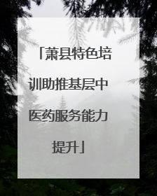 萧县特色培训助推基层中医药服务能力提升