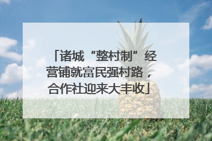 诸城“整村制”经营铺就富民强村路，合作社迎来大丰收