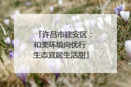 许昌市建安区：和美环境向优行 生态宜居生活甜
