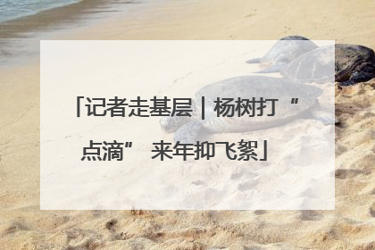 记者走基层｜杨树打“点滴” 来年抑飞絮