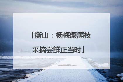 衡山：杨梅缀满枝 采摘尝鲜正当时