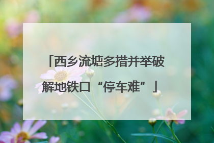 西乡流塘多措并举破解地铁口“停车难”
