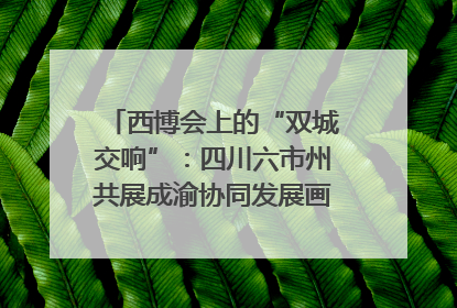西博会上的“双城交响”：四川六市州共展成渝协同发展画卷｜西博视界