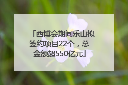 西博会期间乐山拟签约项目22个，总金额超550亿元