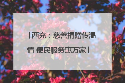西充：慈善捐赠传温情 便民服务惠万家