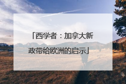 西学者：加拿大新政带给欧洲的启示