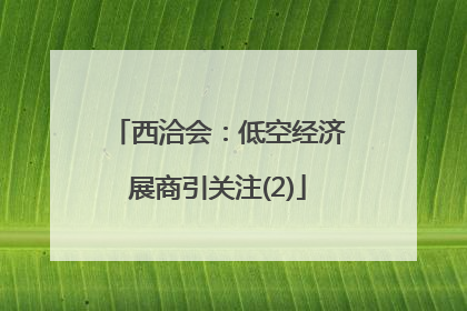 西洽会：低空经济展商引关注(2)