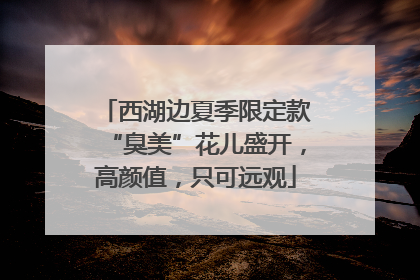 西湖边夏季限定款“臭美”花儿盛开，高颜值，只可远观