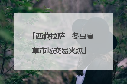 西藏拉萨：冬虫夏草市场交易火爆