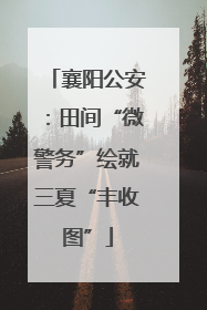 襄阳公安：田间“微警务”绘就三夏“丰收图”