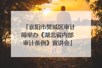 襄阳市樊城区审计局举办《湖北省内部审计条例》宣讲会