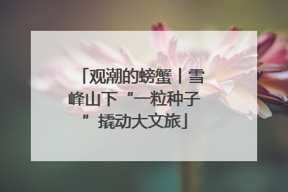 观潮的螃蟹丨雪峰山下“一粒种子”撬动大文旅