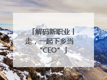 解码新职业丨走，一起下乡当“CEO”