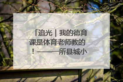 追光|我的德育课是体育老师教的!——一所县城小学的思政课改革