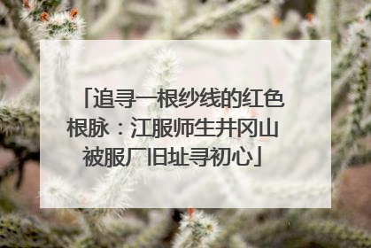 追寻一根纱线的红色根脉：江服师生井冈山被服厂旧址寻初心